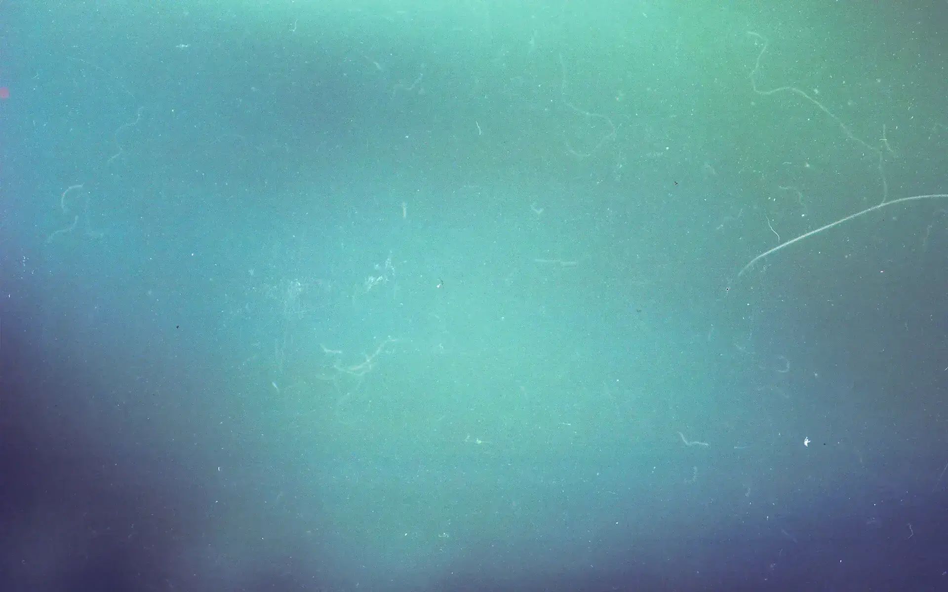 Film grain background